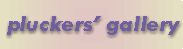pluckers gallery